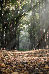 Similar image 21341780