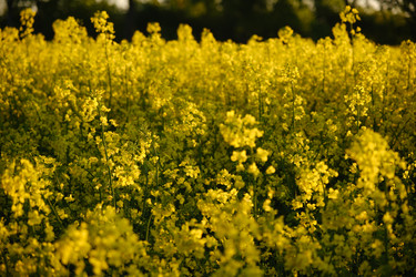 Similar image 21341781