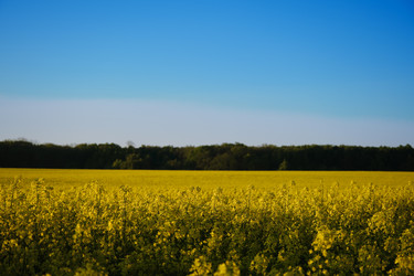 Similar image 21341898