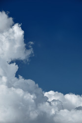 Similar image 21307922