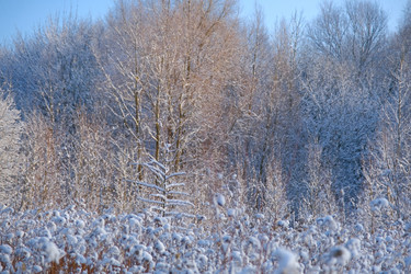 Similar image 21330884