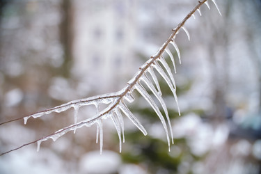 Similar image 21331057