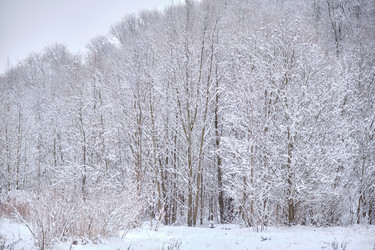 Similar image 21331333