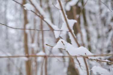 Similar image 21331334