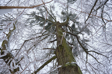 Similar image 21331336