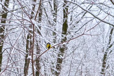 Similar image 21331714