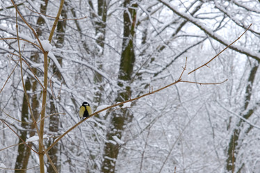 Similar image 21331716