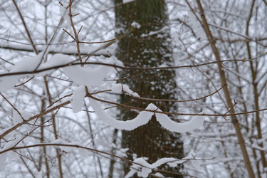 Similar image 21341786