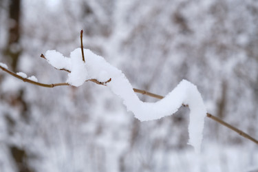 Similar image 21341788