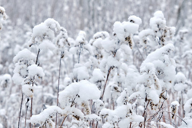 Similar image 21341902