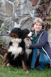 Similar image 21298849