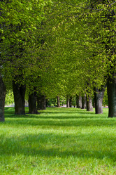 Similar image 21307787