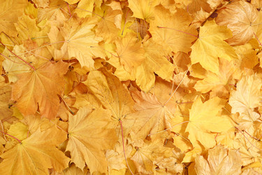 Similar image 21307842