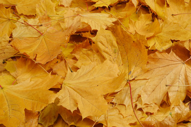 Similar image 21307925