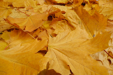 Similar image 21307927