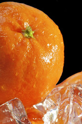 Similar image 21309199