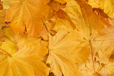 Similar image 21309222