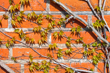 Similar image 21321992