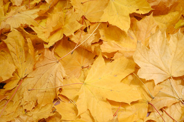 Similar image 21321993