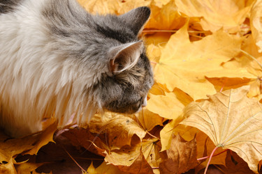 Similar image 21321995