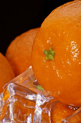 Similar image 21321996