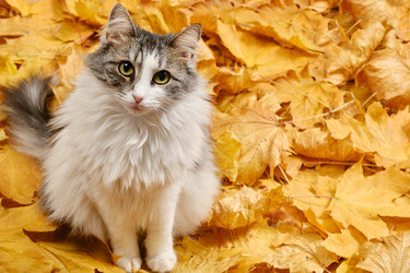 Similar image 21321997