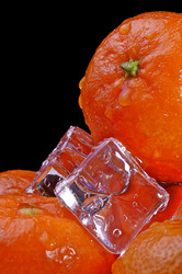 Similar image 21321999