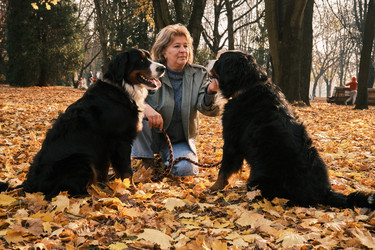 Similar image 21322000