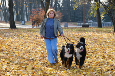 Similar image 21322002