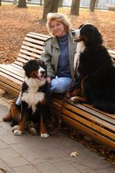 Similar image 21322006