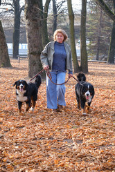 Similar image 21330782