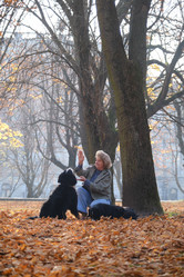 Similar image 21330783