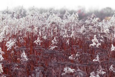 Similar image 21307689