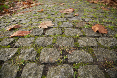 Similar image 21309200