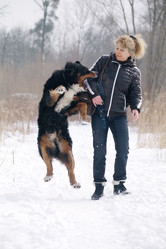 Similar image 21322009