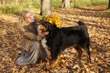 Similar image 21322025