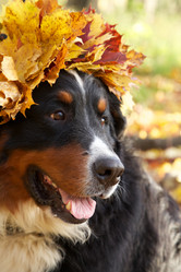 Similar image 21330786