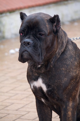 Similar image 21330789