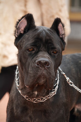 Similar image 21331063