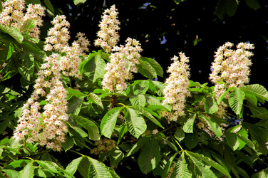 Similar image 21331064