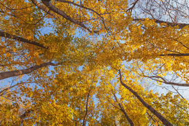 Similar image 21331458