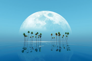 Similar image 21341802