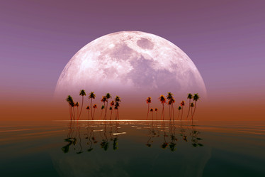 Similar image 21341803