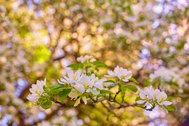 Similar image 21307694