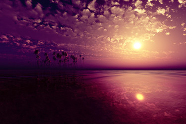 Similar image 21307932