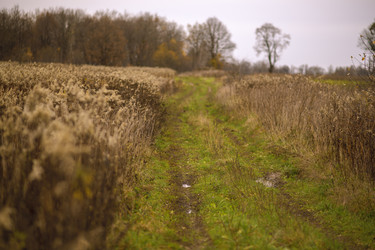 Similar image 21322028