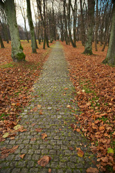 Similar image 21322034