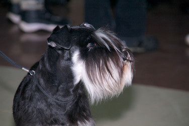 Similar image 21298854