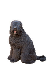 Similar image 21331145