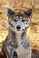 Similar image 21331147